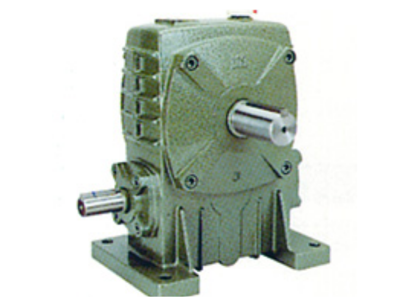 WITZ PA Worm Gear